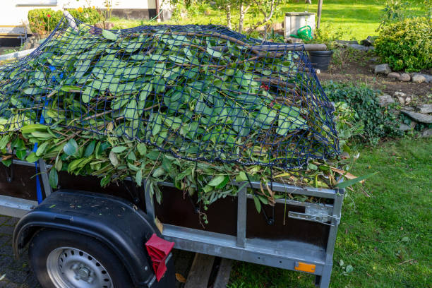 Best Shed Removal  in Madisonville, KY